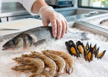 Cuidar la preparación y conservación de pescados y mariscos