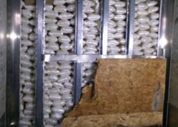 Decomisa CBP más de 1.3 toneladas de metanfetamina en Otay Mesa