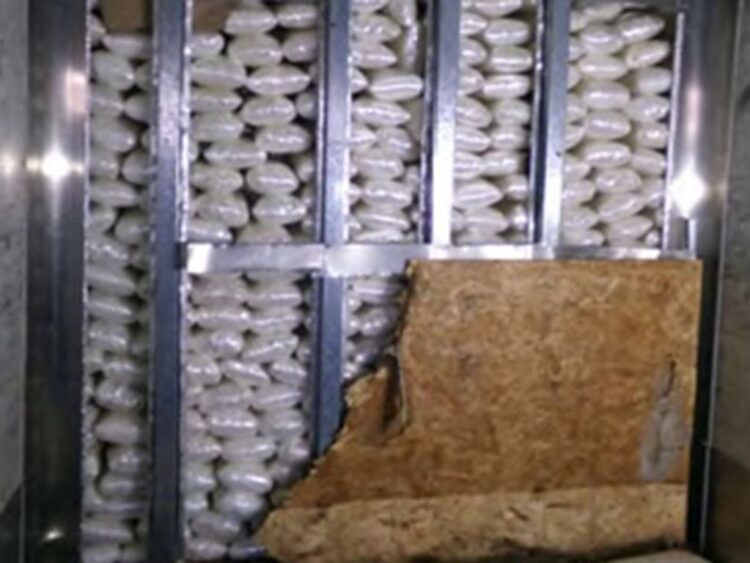 Decomisa CBP más de 1.3 toneladas de metanfetamina en Otay Mesa