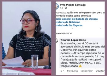 Denuncia diputada Irma Pineda amenazas en redes sociales