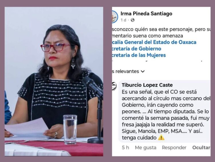 Denuncia diputada Irma Pineda amenazas en redes sociales