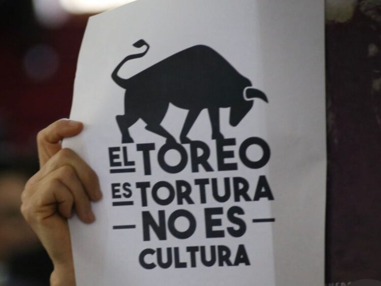 Diputados impulsan prohibir las corridas de toros en Hidalgo