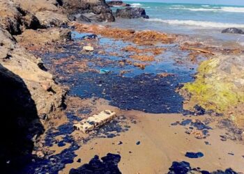 El derrame petrolero en el Golfo de México, desde Tabasco hasta Tamaulipas.