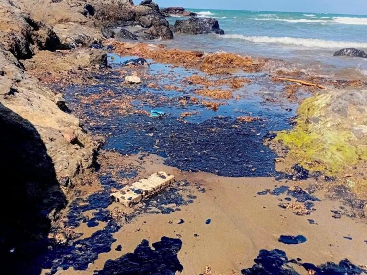 El derrame petrolero en el Golfo de México, desde Tabasco hasta Tamaulipas.