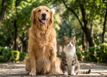 Evita el golpe de calor en animales