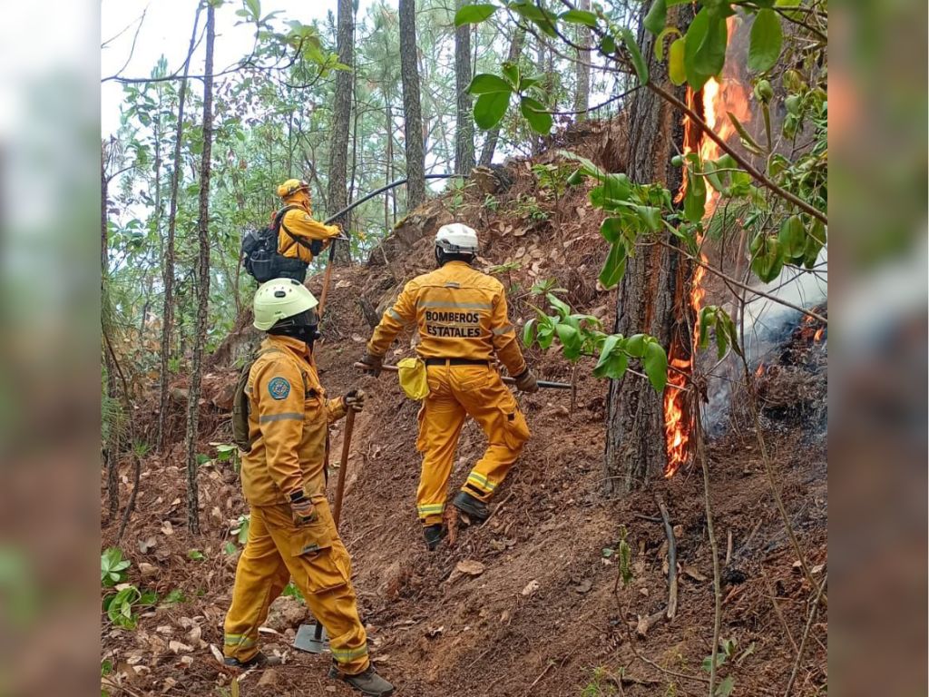 Operativo contra incendio en Nuevo Urecho, Michoacán. Breves de los Estados del 8 de abril