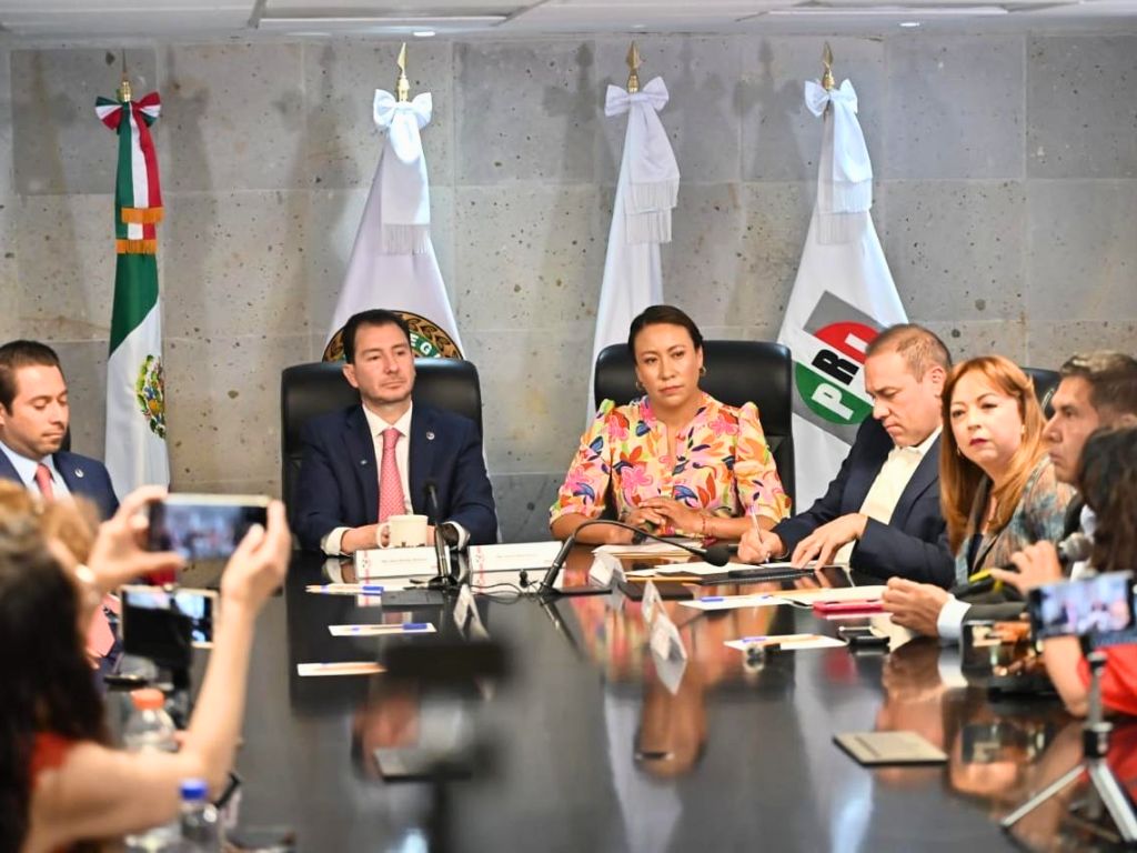 La diputada Leticia Mejía explica su iniciativa en conferencia de prensa. 