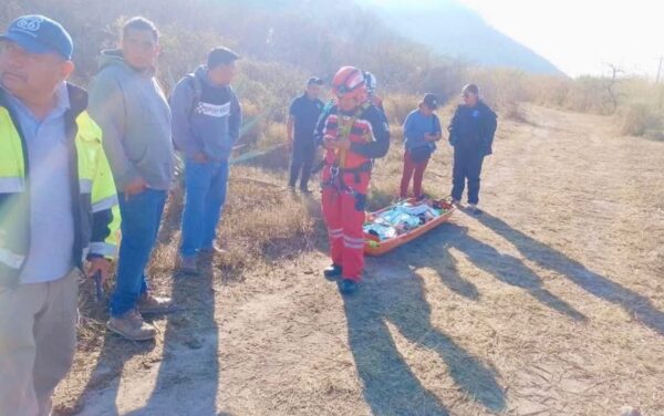 Breves de los Estados