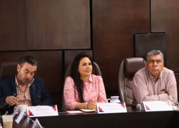 Mónica Mixtega Trejo, titular de la SEMARNATH. Crisis de basura en Hidalgo.