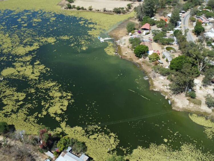 Proceso contra edil por contaminar la presa Yosocuta