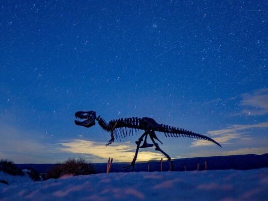 Vista de Cuatrociénegas con dunas de yeso y pozas de agua turquesa en un entorno desértico, ejemplo de turismo sustentable en México.