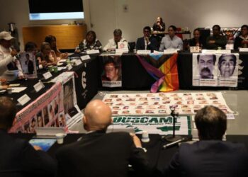 Visita de Volker Türk causa incomodidad en el oficialismo (Opinión)