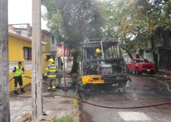 Breves de los Estados