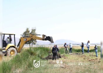 Encuentran restos óseos de al menos a tres personas en Chalco