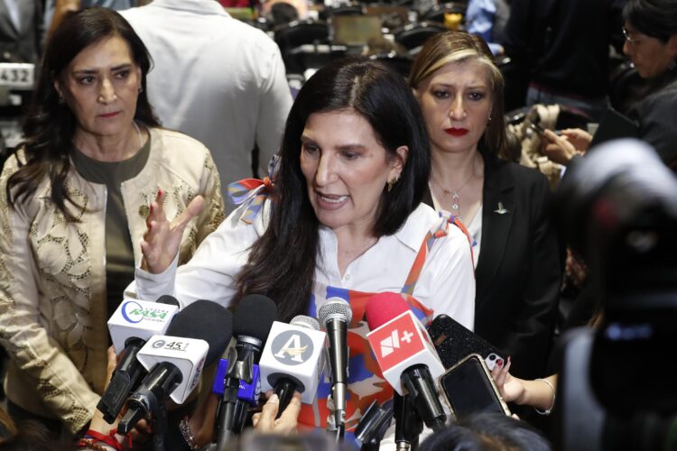 La diputada panista señaló que este proceso debe realizarse con estricto apego a las normas ambientales