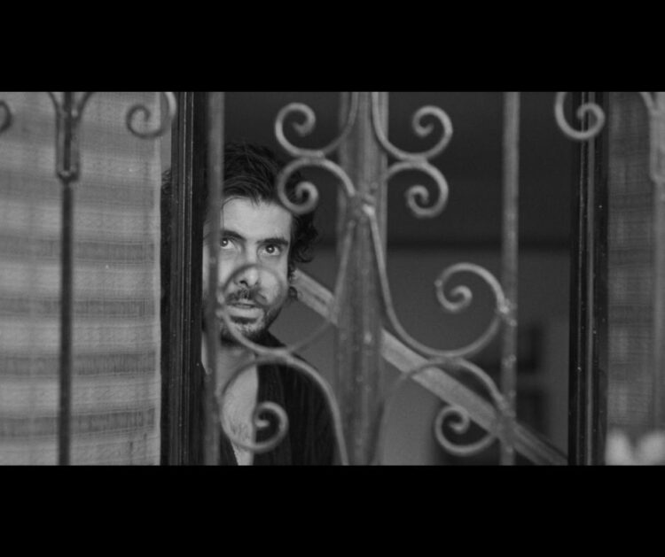 “Casa 12”: Cine independiente (Foto: Cortesía/ AMEXI)