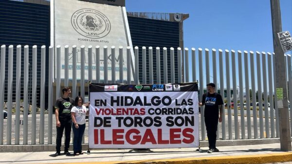 Activistas entregaron una solicitud a la Suprema Corte