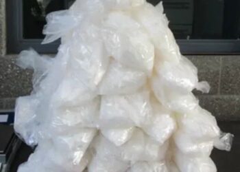 La Oficina de Aduanas y Protección Fronteriza de Estados Unidos (CBP) decomisaron casi 2.8 millones de dólares en drogas en San Ysidro.