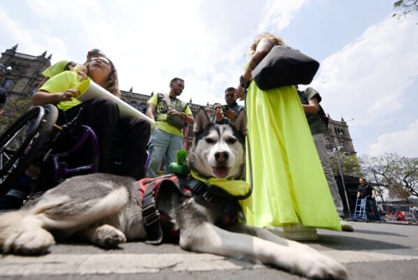 Foto: Alejandro Meléndez / AMEXI