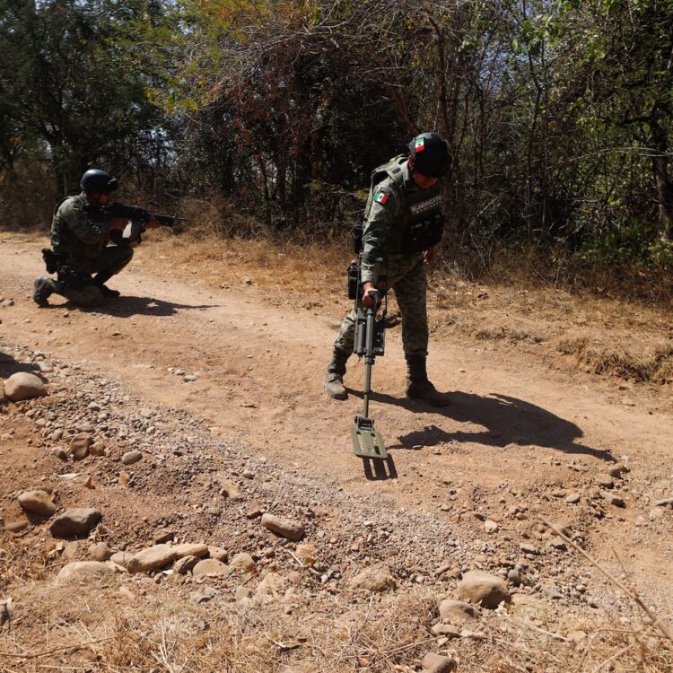 En el municipio de Apatzingán, Michoacán reportan que varios elementos de la Sedena, resultaron gravemente heridos al explotar minas