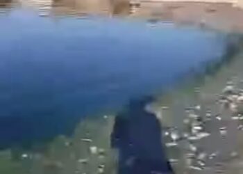 En el municipio de Huichapan, en el estado de Hidalgo investigan la misteriosa muerte de peces en la presa de San Fernando.