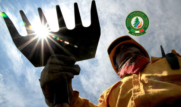 2 mil brigadistas combaten incendios en Oaxaca