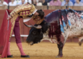 Activistas exigen prohibir toros en Hidalgo