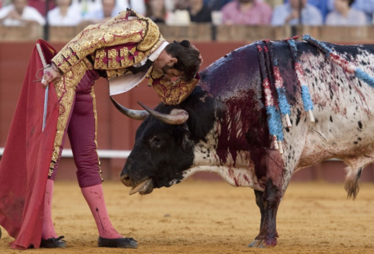 Activistas exigen prohibir toros en Hidalgo