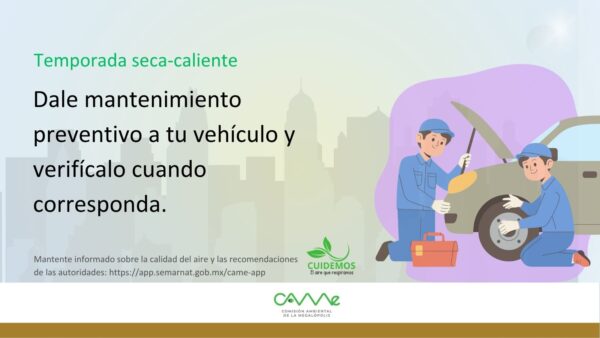 Es importante conocer las restricciones vigentes para evitar sanciones.