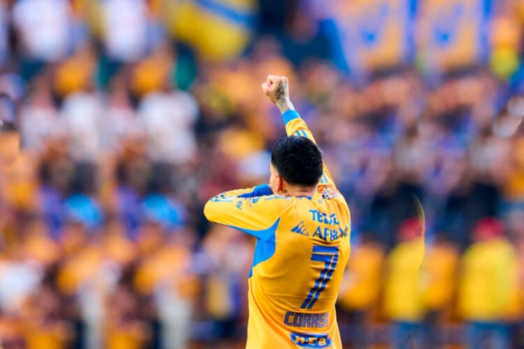 Tigres