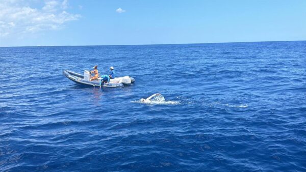 En esta travesía, el deportista enfrentó condiciones desafiantes que llevaron al límite su resistencia física y mental.