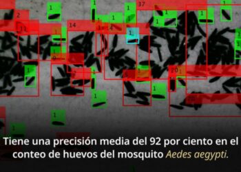 ¿Avance tecnológico contra el dengue en México?