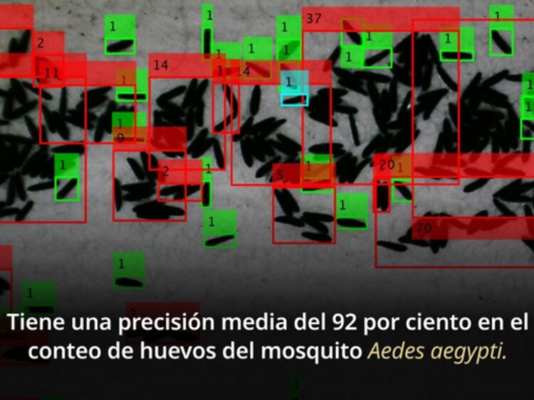 ¿Avance tecnológico contra el dengue en México?