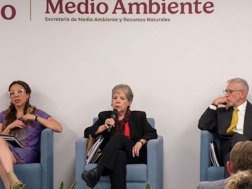 Alicia Bárcena. Semarnat rechaza megaproyecto en Mahahual. 