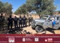 Breves Estados