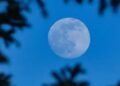 La Luna llena ilumina el cielo nocturno durante el fenómeno conocido como Luna Azul, visible a finales de mayo de 2026.