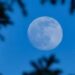 La Luna llena ilumina el cielo nocturno durante el fenómeno conocido como Luna Azul, visible a finales de mayo de 2026.