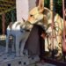 Edomex hace obligatorio el registro de mascotas este 2026