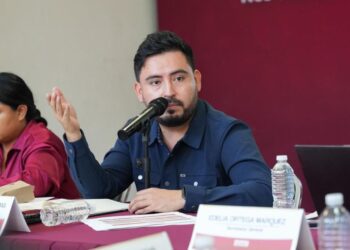 Encuestas oficiales aún no se están realizando, informa Morena en Oaxaca