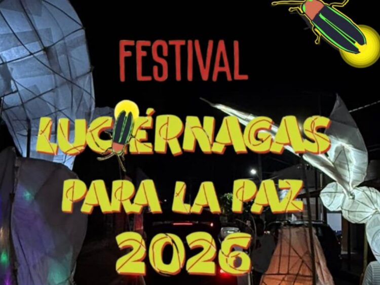 Festival Luciérnagas para la Paz 2026 en Morelos ofrece talleres, caminatas nocturnas y gran marcha comunitaria hasta el 16 de mayo | AMEXI/FOTO: IG @luciernagasparalapaz