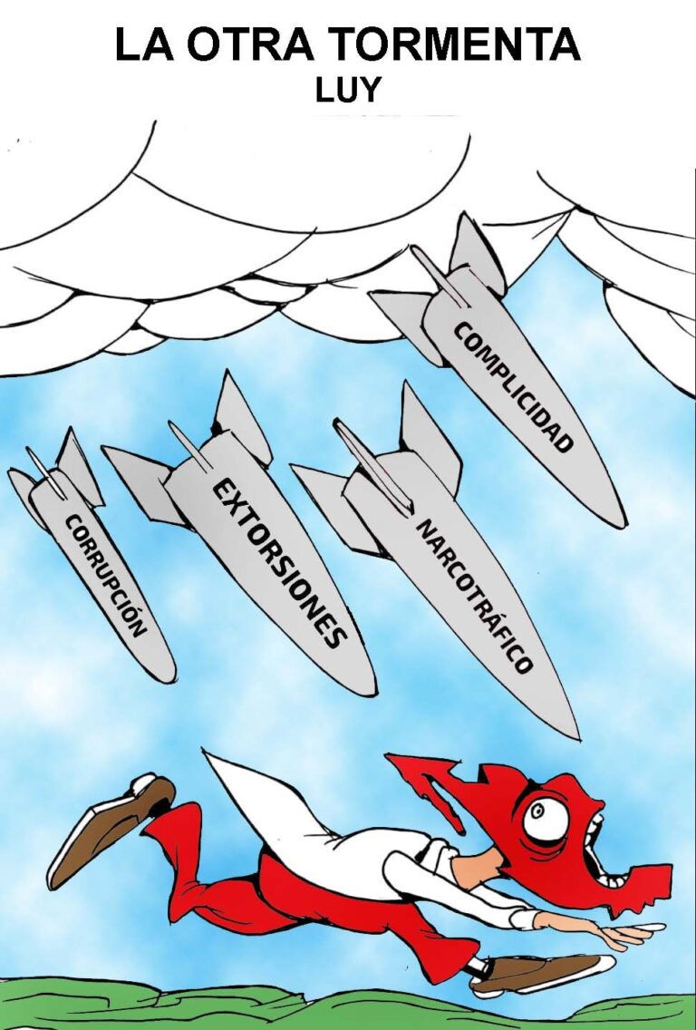 Cartón de Luy: La otra reforma