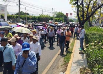 CNTE