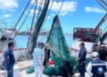 Pesca de camarón. AMEXI Foto Agricultura