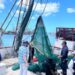 Pesca de camarón. AMEXI Foto Agricultura