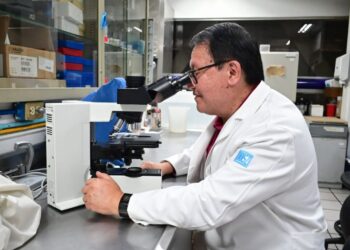 Veneno de alacrán para desarrollar nuevos antibióticos