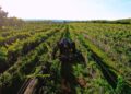 Vinorte 2026 reunirá vino, gastronomía y música en Chihuahua con más de 20 bodegas y actividades culturales. | AMEXI/FOTO: Cortesía