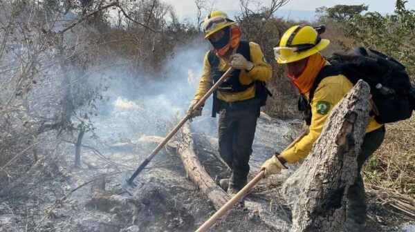 Calor y vientos encienden las alarmas en 33 municipios