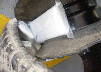 CBP decomisa 225 libras de cocaína