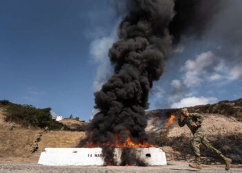 FGR incinera más de 7 toneladas de narcóticos en Baja California