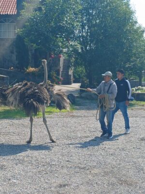 Tenencia de fauna exótica: un debate abierto